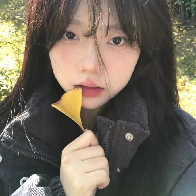 激情的岁月