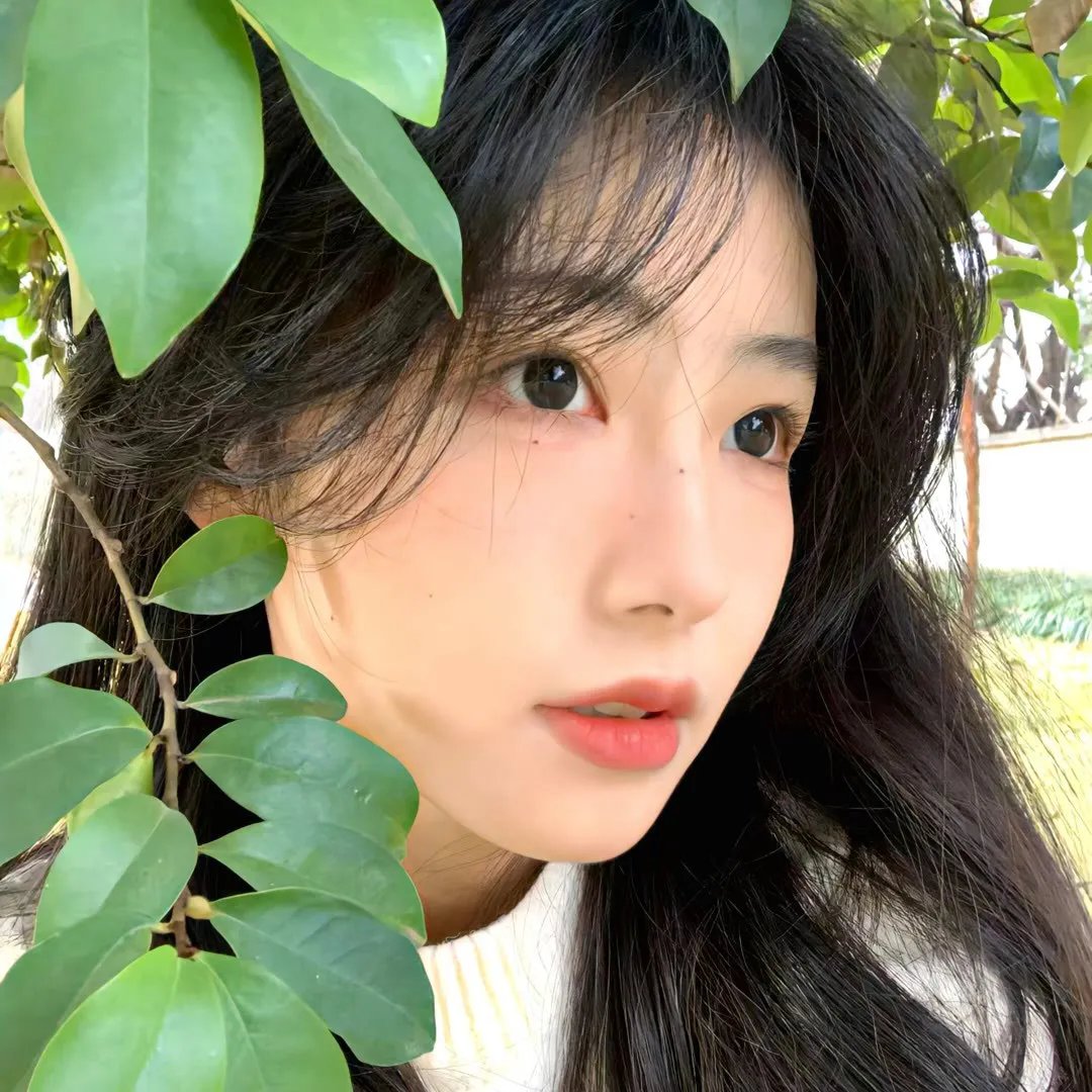 身在高地